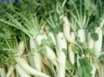 Health Benefits Radish Aid
