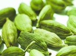 Health Benefits Cardamom Aid