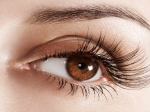  Home Remedies Regrow Your Eyebrow