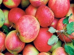  Health Benefits Eating Apples