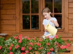 Care Plant At Home