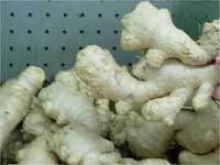Ginger 