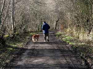 Walk fast during Morning Walk fast during Morning