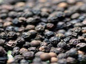 Black Pepper Black Pepper