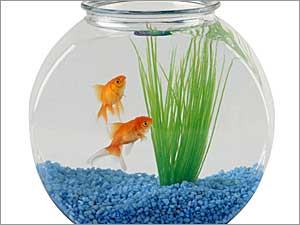 Aquarium