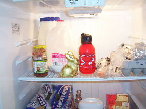 Fridge