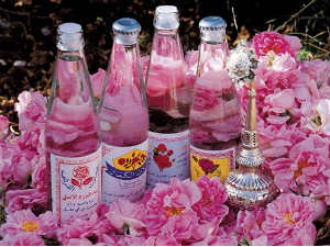 Rose Water Rose Water