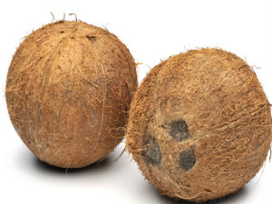 coconut