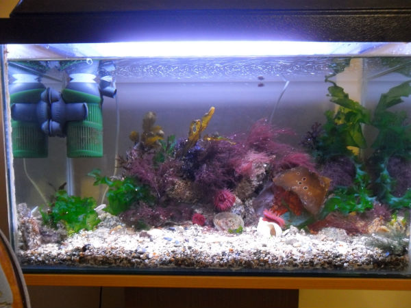 choose right filter aquarium aid0204 choose right filter aquarium aid0204