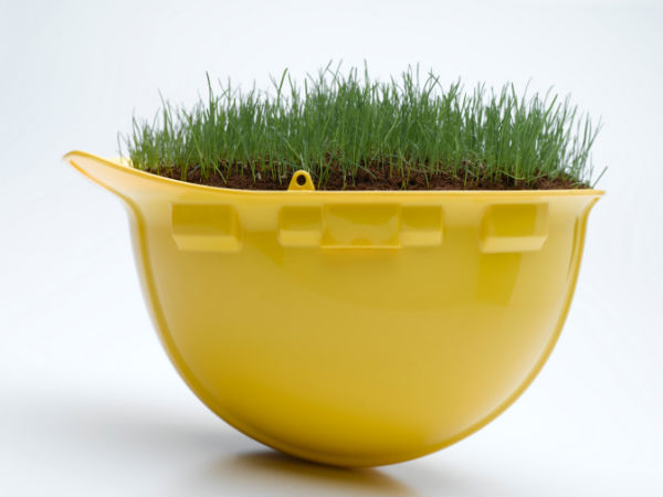 how grow grass a container how grow grass a container