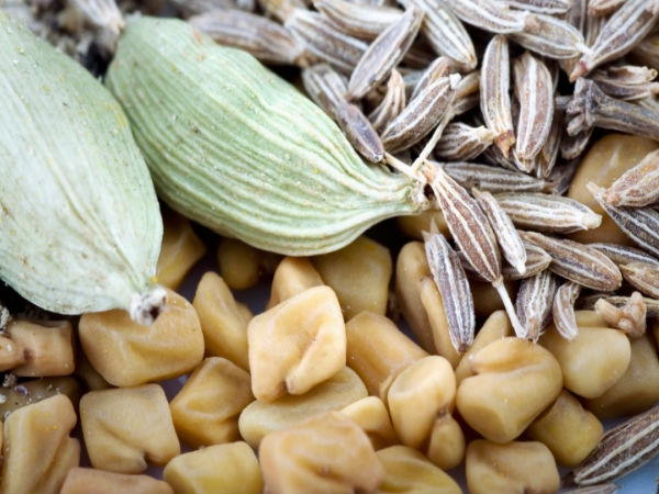 methi can increase male libido methi can increase male libido