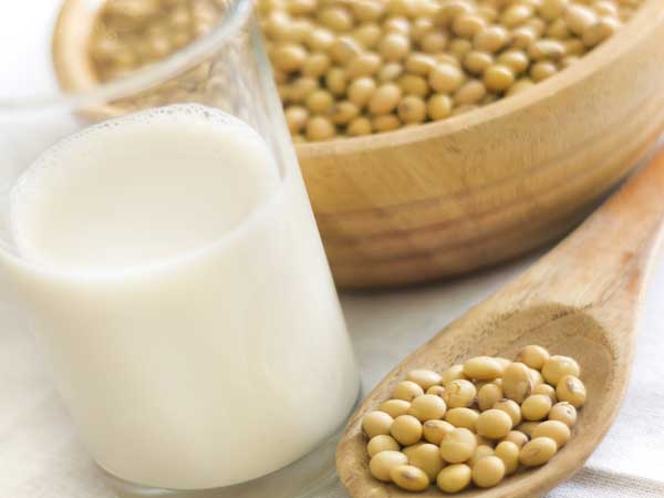 soyabean tofu soyabean tofu