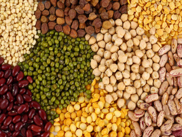 lentils kidney beans lentils kidney beans