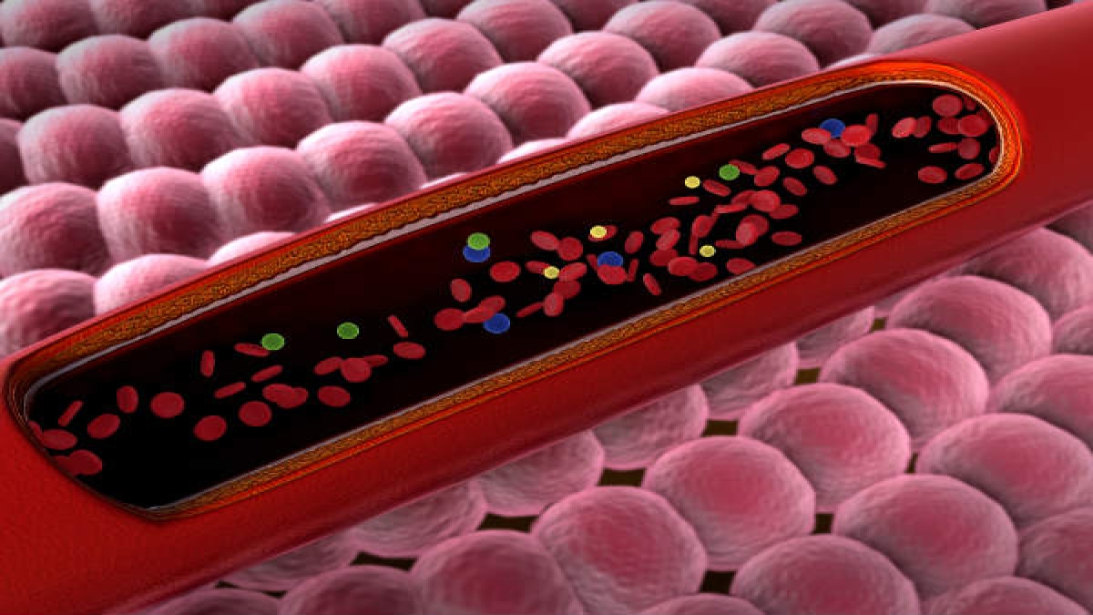 इन कारणों की वजह से ब्लड में बढ़ जाता है प्रोटीन Causes And Symptoms