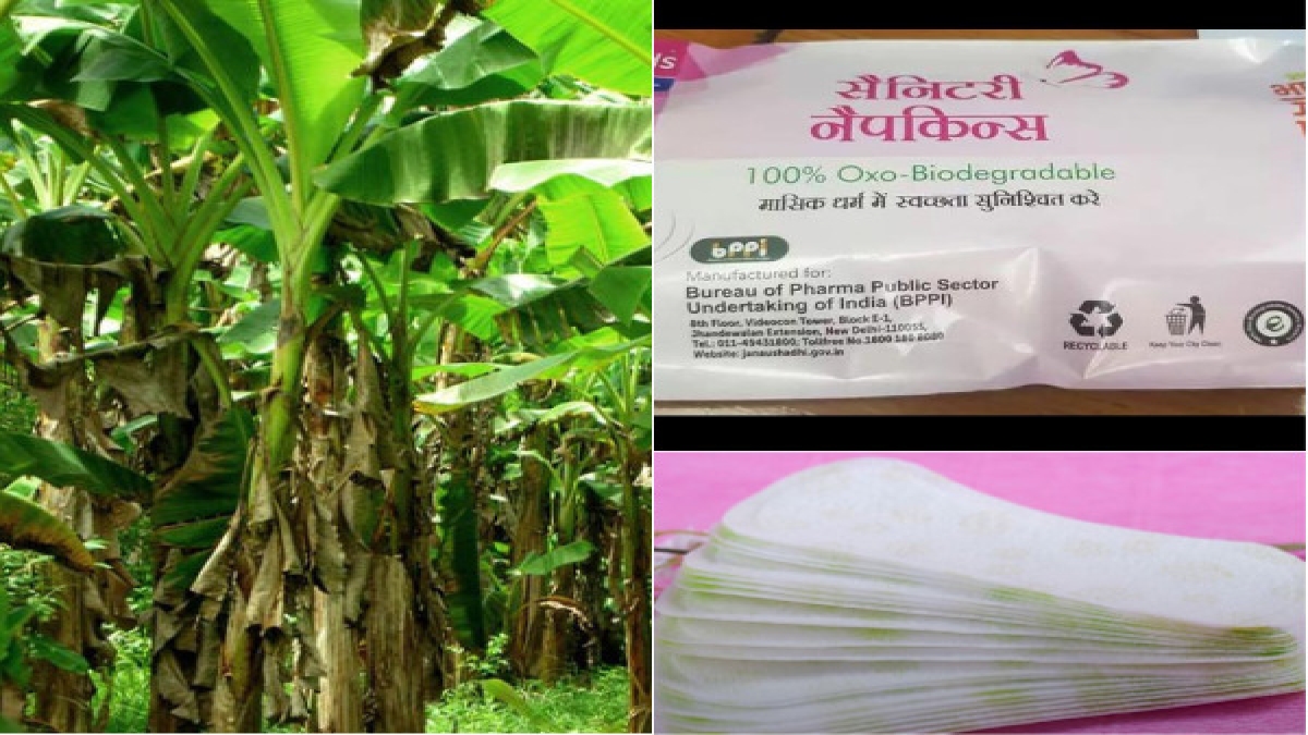 महिलाओं के लिए सस्‍ते दाम में लॉन्‍च हुआ बायोडिग्रेडिबल सैनेटरी पैड