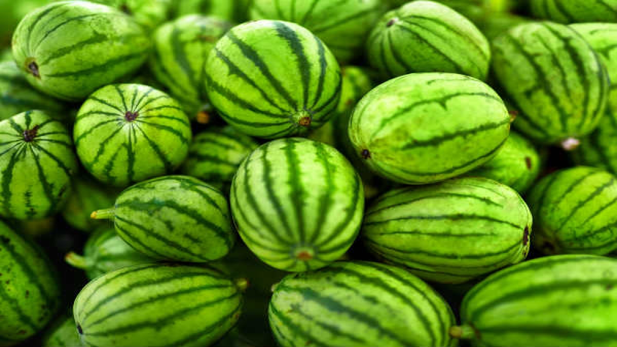 तरबूज खा कर ऐसे कीजिये मोटापा कम Watermelons For Weight Loss 3