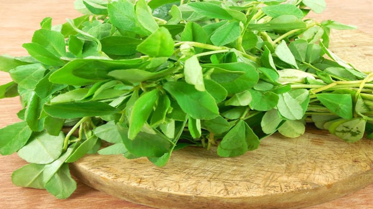 Fenugreek Leaves Benefits for Skin and Hair झड़ते बालों और चेहरे की