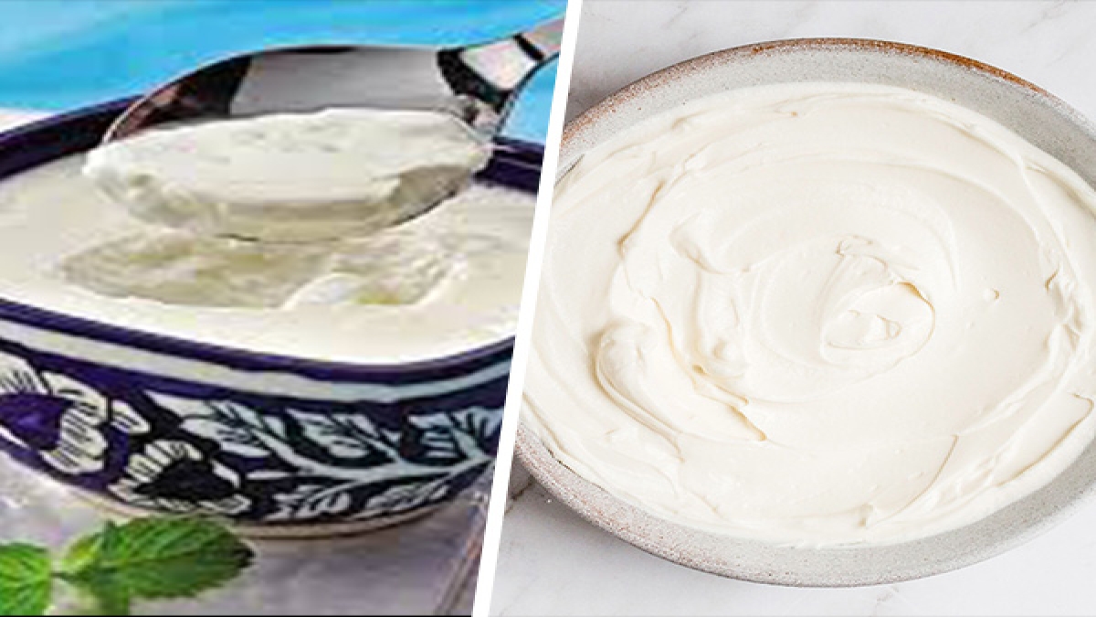 Yogurt VS Curd जानिए इन दोनों में क्या होता है अंतर और आपके लिए कौन सा