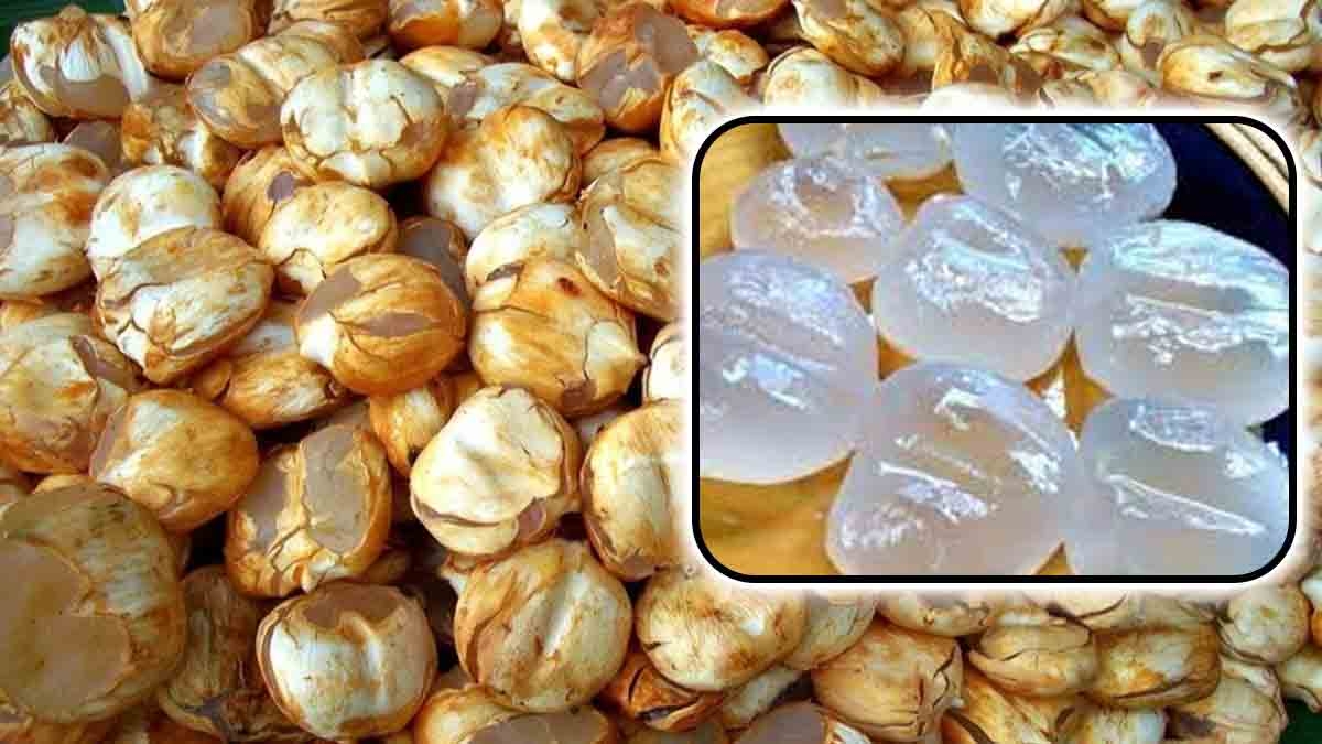 Benefits of Ice Apple इस फ्रूट को खाने से शरीर को मिलती है बर्फ सी ठंडक, खाते वक्‍त इस बात की