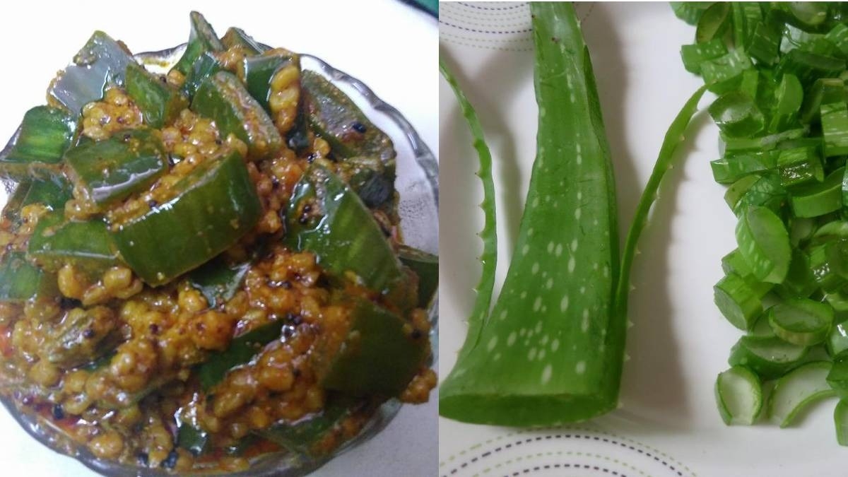 चेहरे पर तो खूब लगाया होगा ऐलोवेरा कभी इसकी सब्‍जी खाई है? देसी ग्‍वारपाठा की  रेसिपी जानें | Aloe Vera or Gawarpatha Ki Sabzi : Know Benefits and Recipes  - Hindi Boldsky