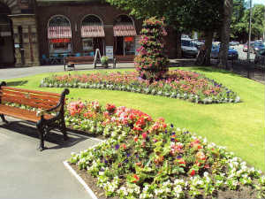 फूलों के बगीचे की देखभाल | Maintain A Flower Garden | Plants | फूलों का