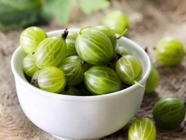 मधुमेह रोगी खा सकते हैं ये 18 फल | Top 18 Fruits For Diabetic Patients -  Hindi Boldsky