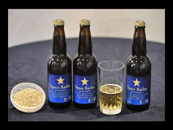 Sapporo's Space Barley $110 Sapporo's Space Barley $110
