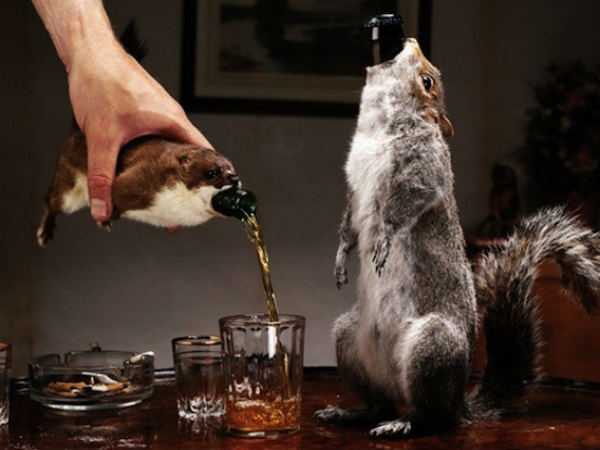 Brewdog's End Of History: $765 Brewdog's End Of History: $765