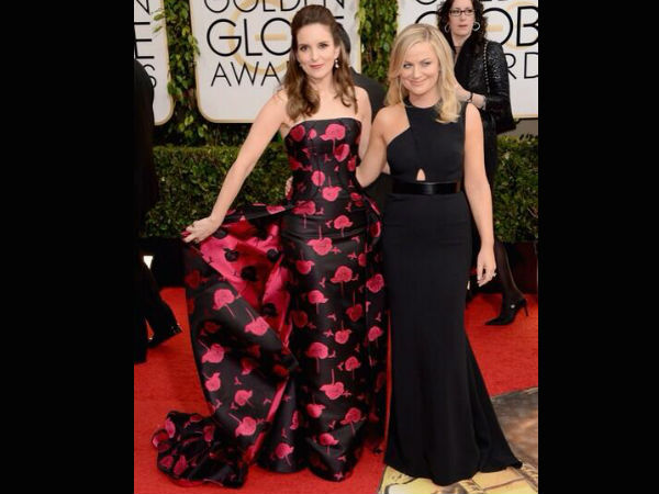 टीना फे और एंबी फीलर