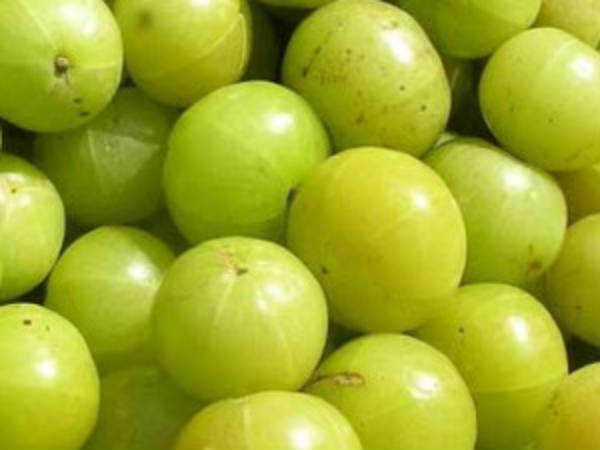 कडी पत्ता और आमला पाउडर कडी पत्ता और आमला पाउडर