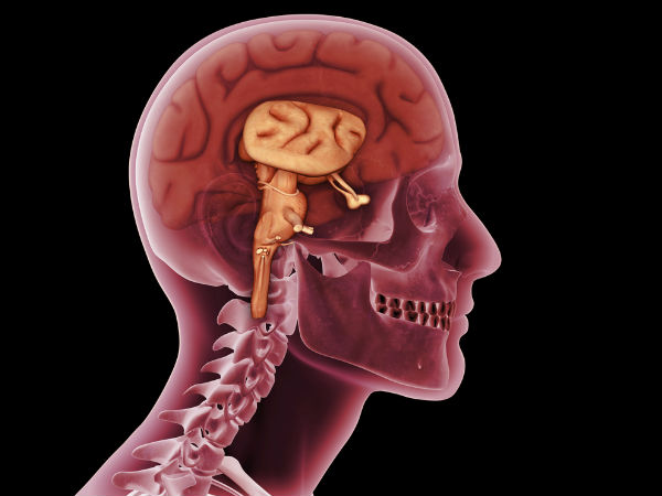 4) दिमाग को सुरक्षात्मक तरीके से बदलता है :