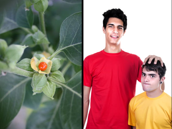 अश्वगंधा का प्रयोग