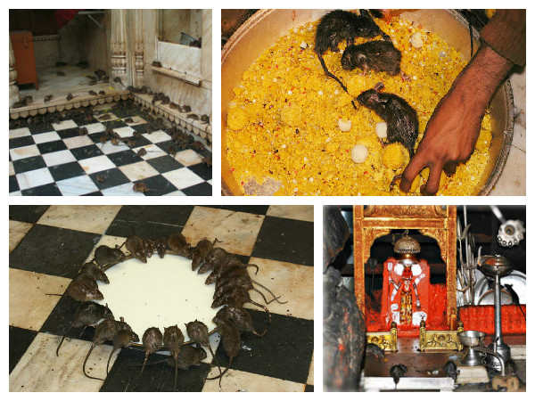 मंदिर के नियम मंदिर के नियम