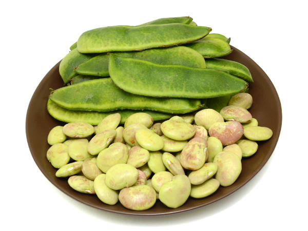 Health Benefits Eating Lima Beans