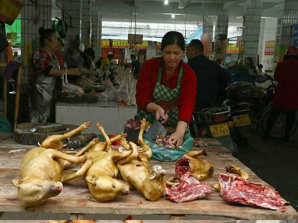 क्या ये जिंदा ही उबाले जाते हैं? क्या ये जिंदा ही उबाले जाते हैं?