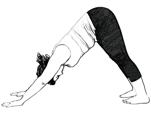 5- अधो मुख स्वानासन (Downward Facing Dog Pose) :