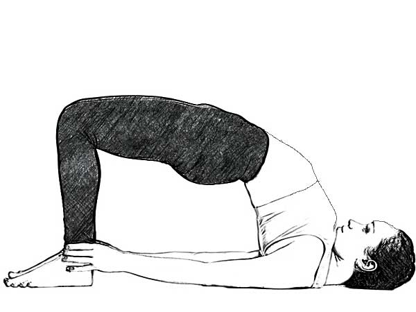 3- सेतु बंध सर्वांगासन (Bridge Pose) :