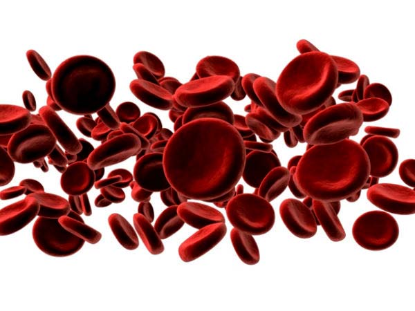 foods to increse blood platelet foods to increse blood platelet