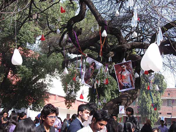 वर्जिन ट्री की मान्यता