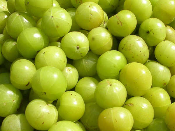 2. आंवला 2. आंवला