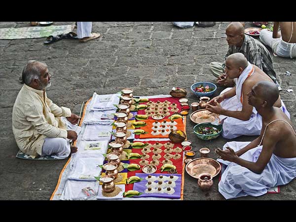 6. चोंच में सूखा तिनका