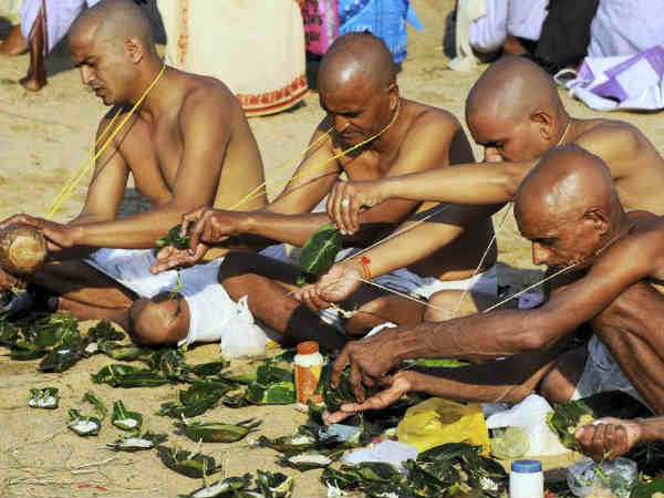 3. गाय की पीठ पर कौआ