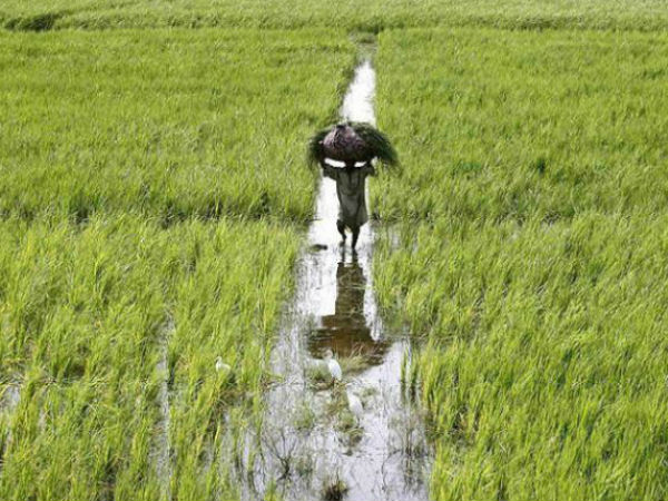 5. भूमि