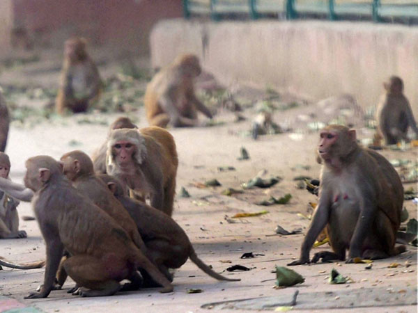 कब रहता है सबसे ज़्यादा खतरा