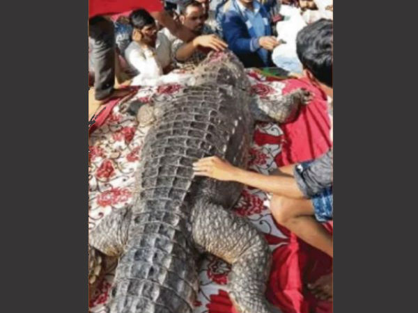 किसी के घर नहीं जला चूल्हा