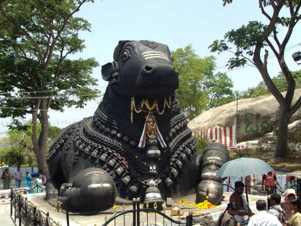देवता के तौर पर पूजे जाते हैं नंदी