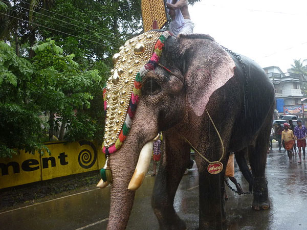 2. हाथी