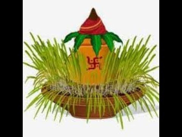 नीचे से पीला और ऊपर का रंग हरा