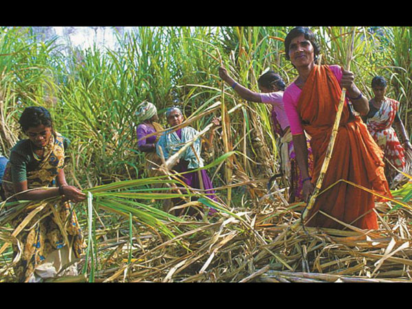 जारी किया नोटिस