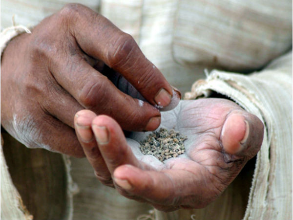 सेहत बिगाड़ सकती है लत